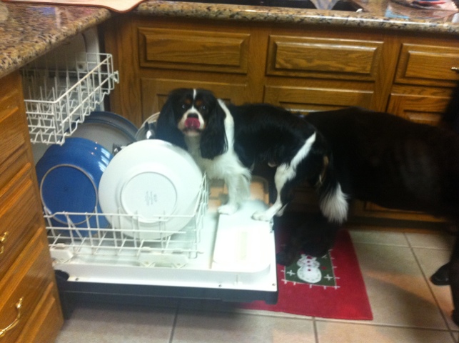 20111224-235601.jpg